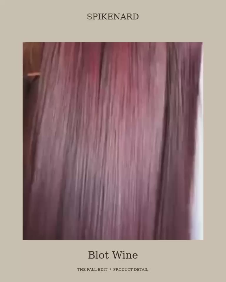 The Fall Edit — Blot Wine